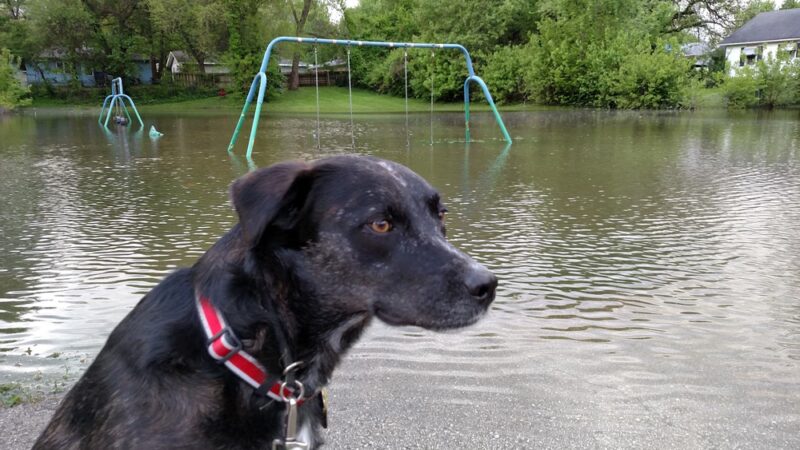 Jubilee Park - Springfield, MO