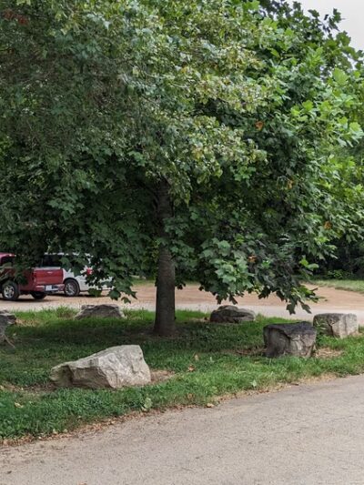 Meador Park - Springfield, MO
