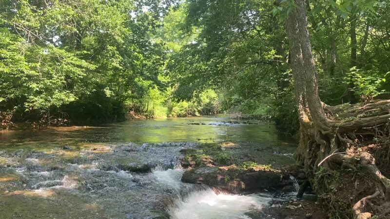 Meador Park - Springfield, MO