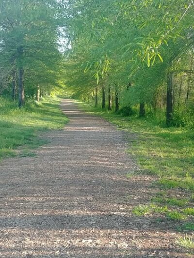 Meador Park - Springfield, MO