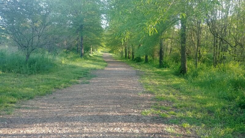 Meador Park - Springfield, MO