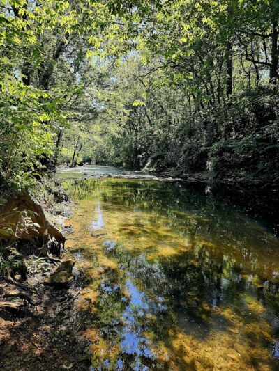 Meador Park - Springfield, MO