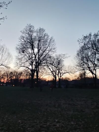 Oak Grove Park - Springfield, MO