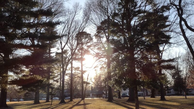 Phelps Grove Park - Springfield, MO