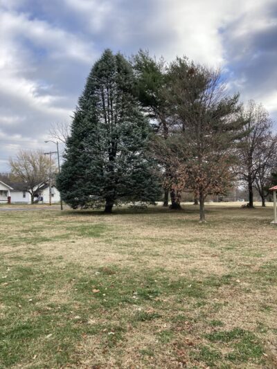 Zagonyi Park - Springfield, MO