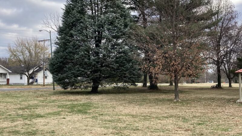 Zagonyi Park - Springfield, MO