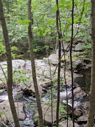 Gile State Forest - Springfield, NH