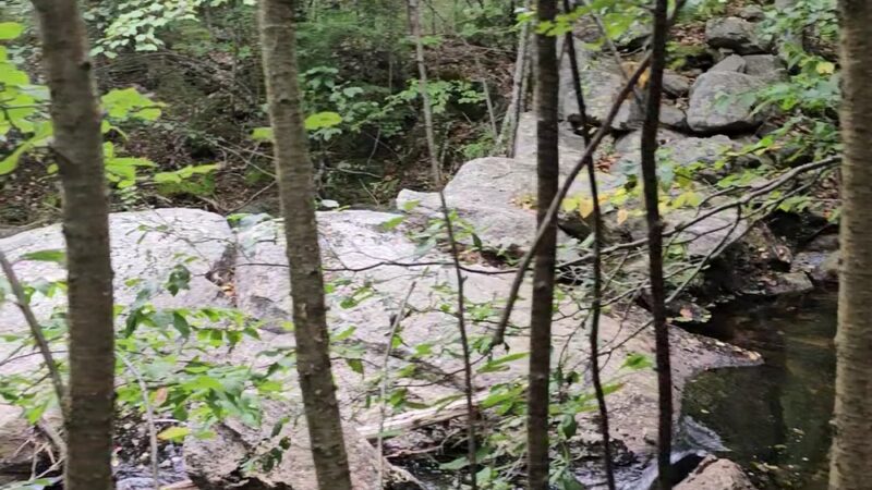 Gile State Forest - Springfield, NH