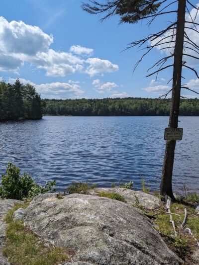 Gile State Forest - Springfield, NH