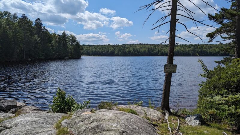 Gile State Forest - Springfield, NH