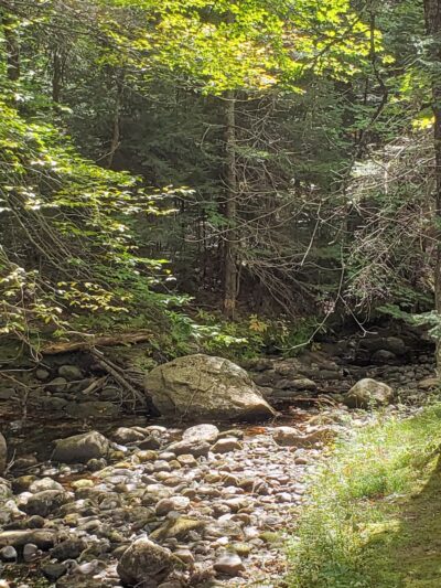 Gile State Forest - Springfield, NH