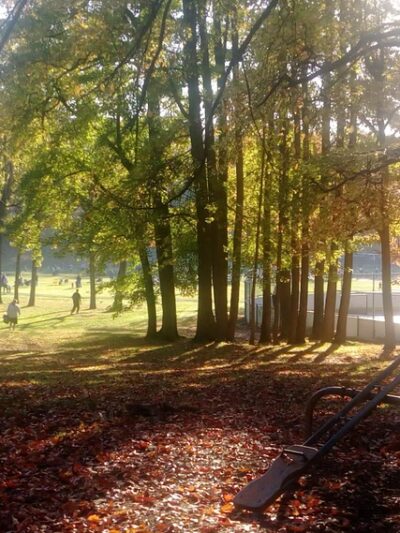 Crowell Park - Springfield, PA