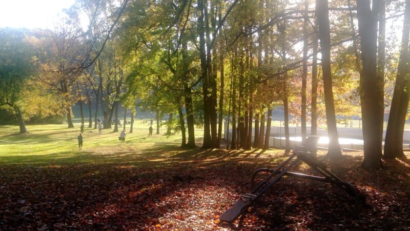 Crowell Park - Springfield, PA