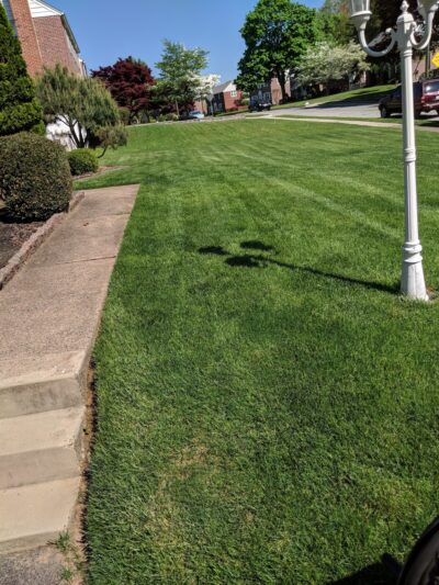 Elson Glen Park - Springfield, PA