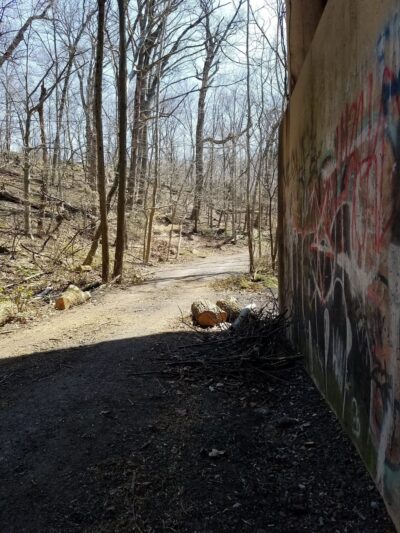 Elson Glen Park - Springfield, PA