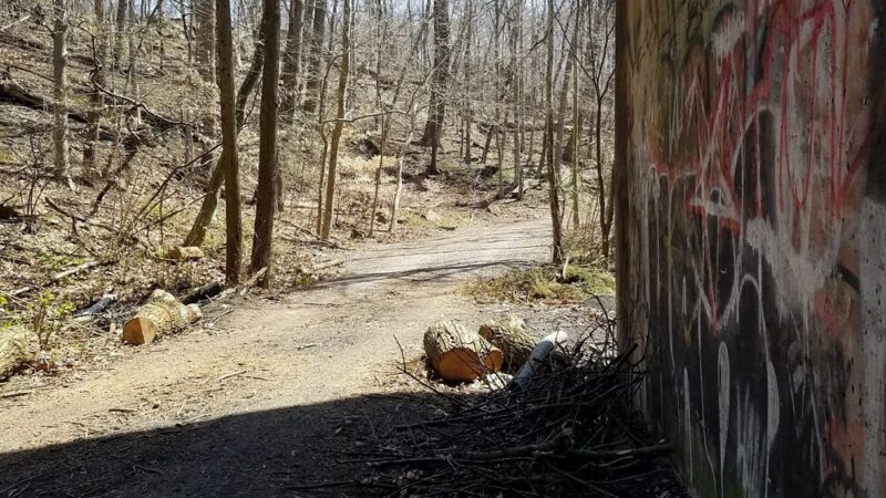 Elson Glen Park - Springfield, PA