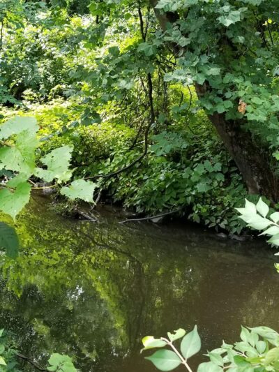 Greenbriar Park - Springfield, PA