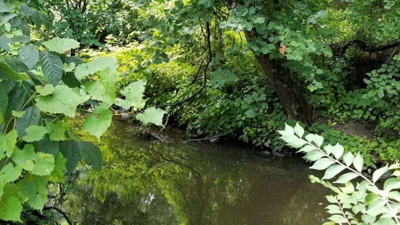 Greenbriar Park - Springfield, PA