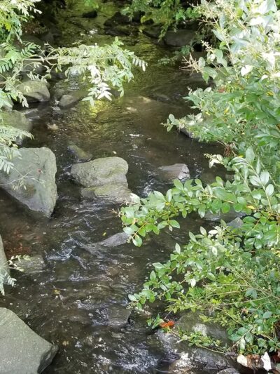 Greenbriar Park - Springfield, PA