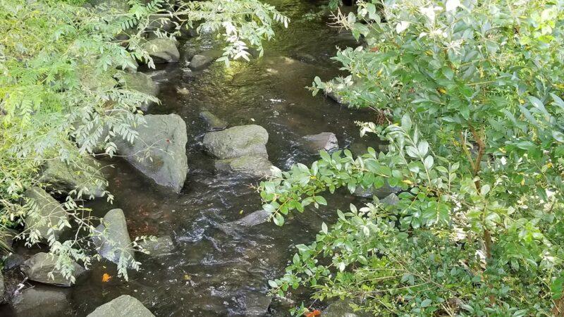 Greenbriar Park - Springfield, PA