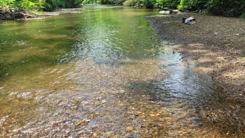 Rolling Green Park - Springfield, PA