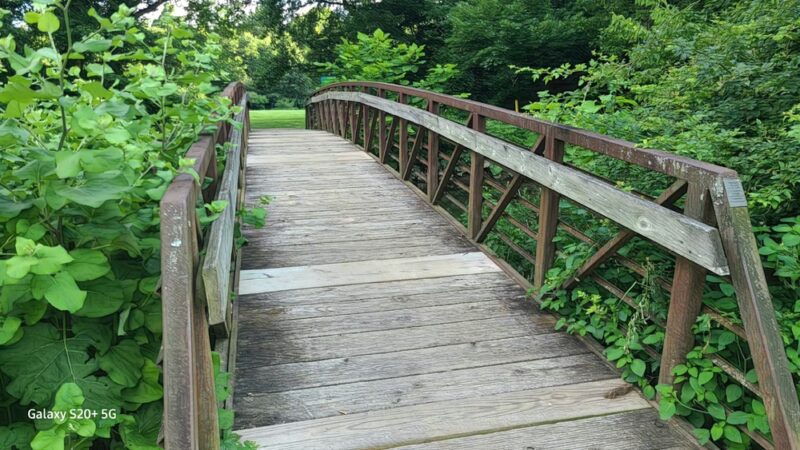 Smedley Park Crum Creek Pedestrian Bridge #1 - Springfield, PA