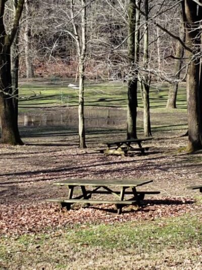 Smedley Park (Delaware County Park) - Springfield, PA