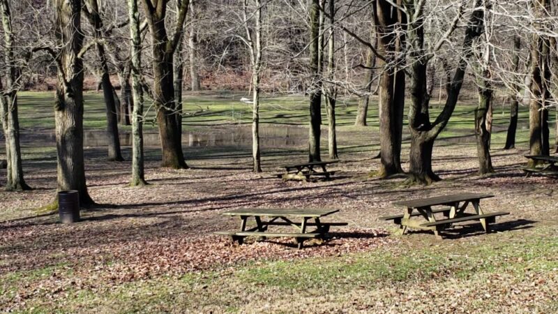 Smedley Park (Delaware County Park) - Springfield, PA