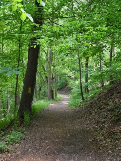 Smedley Park (Delaware County Park) - Springfield, PA