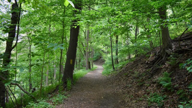 Smedley Park (Delaware County Park) - Springfield, PA