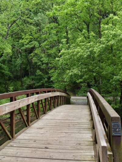 Smedley Park (Delaware County Park) - Springfield, PA
