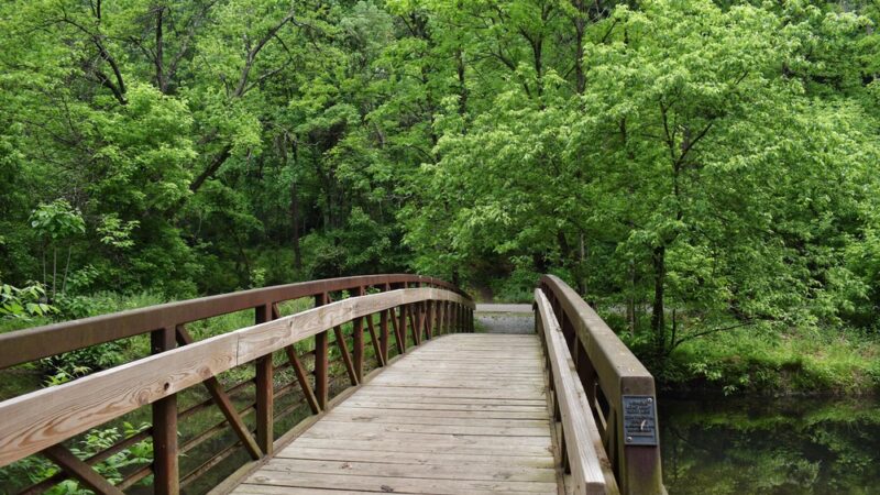 Smedley Park (Delaware County Park) - Springfield, PA