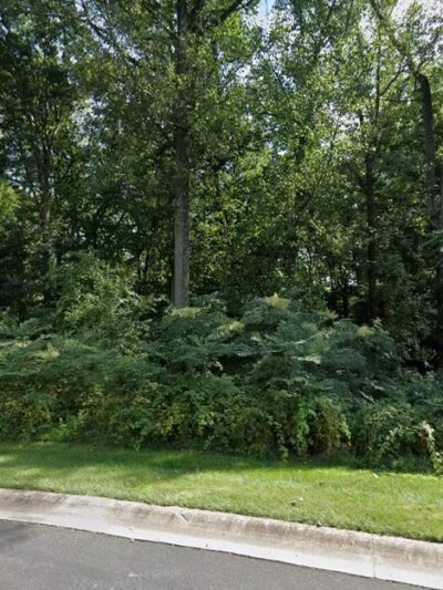 Springfield Trail - Proposed Trailhead- Palmer Drive - Golf View Estates - Springfield, PA