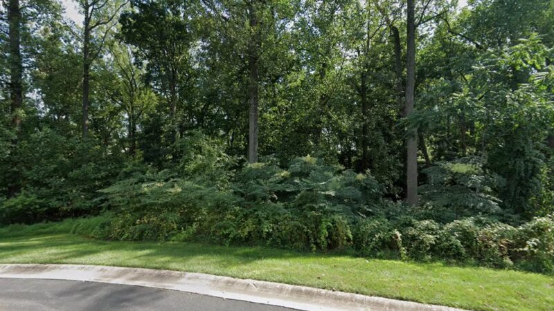 Springfield Trail - Proposed Trailhead- Palmer Drive - Golf View Estates - Springfield, PA