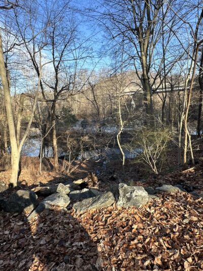 Springfield Trail - Smedley Park Crum Creek Bridge (Paper Mill Rd Parking Lot) - Springfield, PA