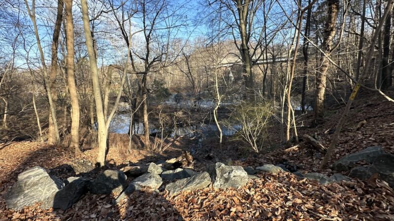 Springfield Trail - Smedley Park Crum Creek Bridge (Paper Mill Rd Parking Lot) - Springfield, PA