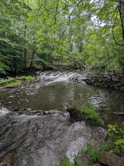 Springfield Trail - Smedley Park Crum Creek Bridge (Paper Mill Rd Parking Lot) - Springfield, PA