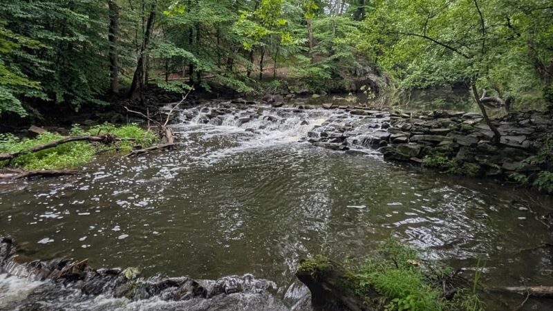 Springfield Trail - Smedley Park Crum Creek Bridge (Paper Mill Rd Parking Lot) - Springfield, PA