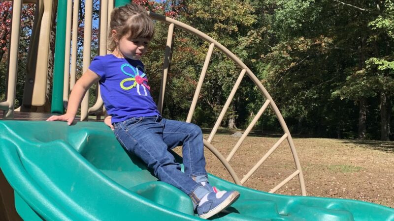 Walsh Park - Springfield, PA