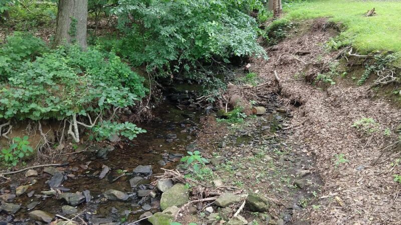 Walsh Park - Springfield, PA