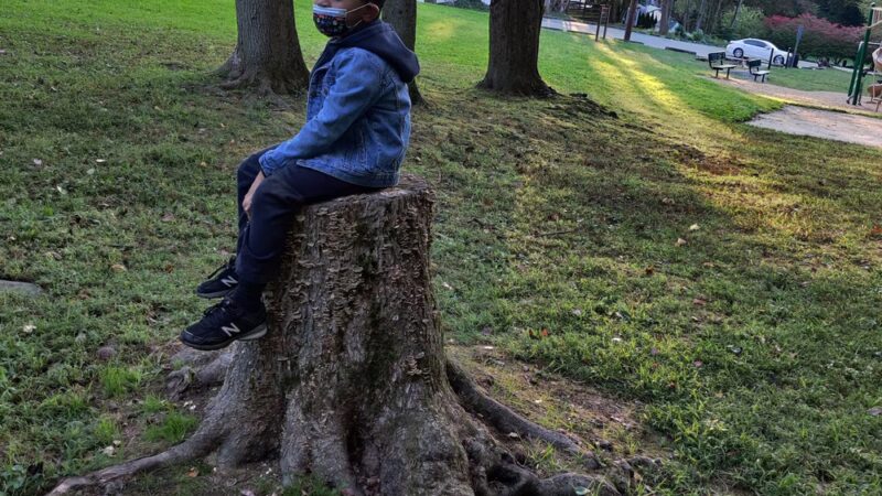 Walsh Park - Springfield, PA