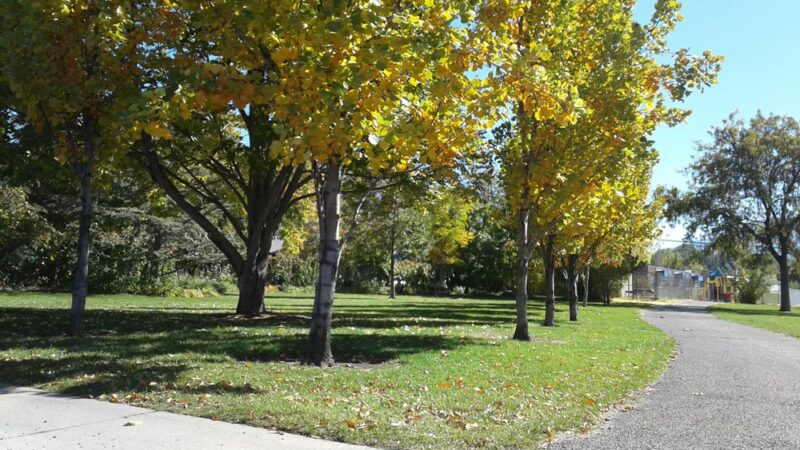 Conover Park - Springville, UT