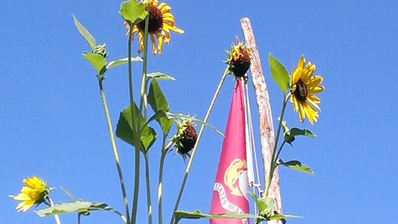 Conover Park - Springville, UT