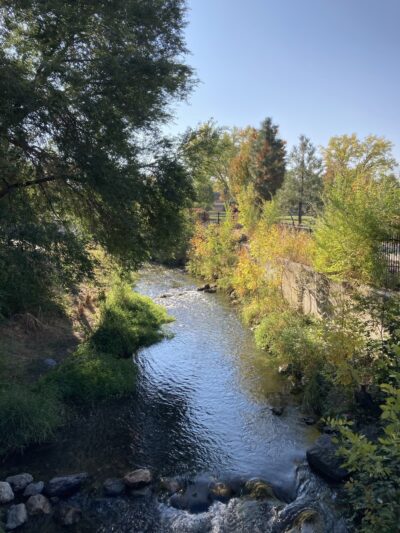 Contractor Legacy Park - Springville, UT