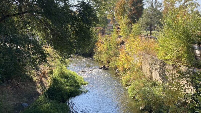 Contractor Legacy Park - Springville, UT