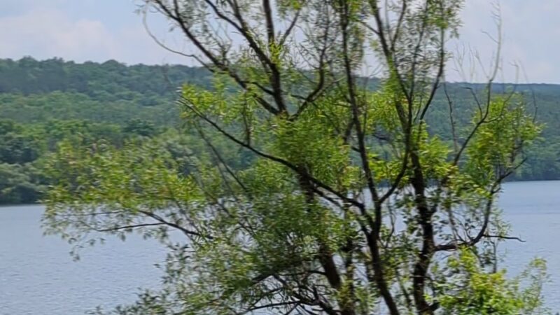Canadice Lake Trail - Springwater, NY