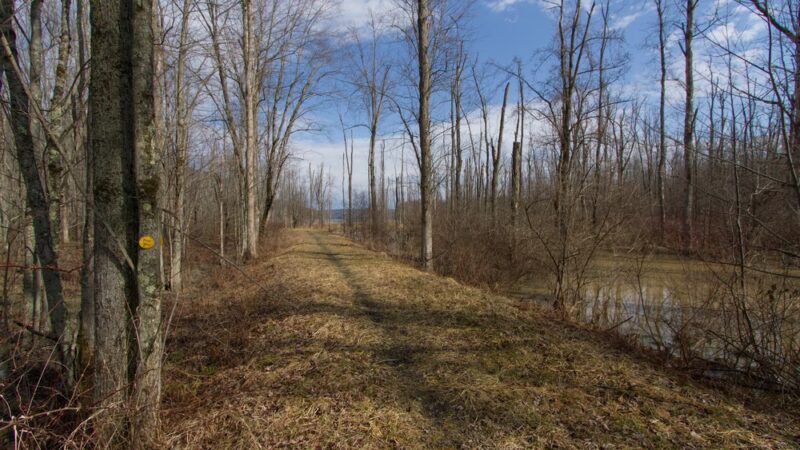 Canadice Lake Trail - Springwater, NY