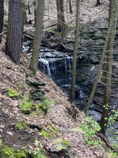 Rob's Trail Preserve - Hemlock Lake - Springwater, NY
