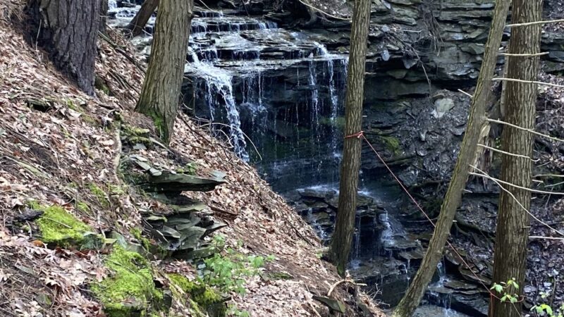 Rob's Trail Preserve - Hemlock Lake - Springwater, NY