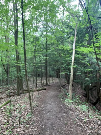 Rob's Trail Preserve - Hemlock Lake - Springwater, NY